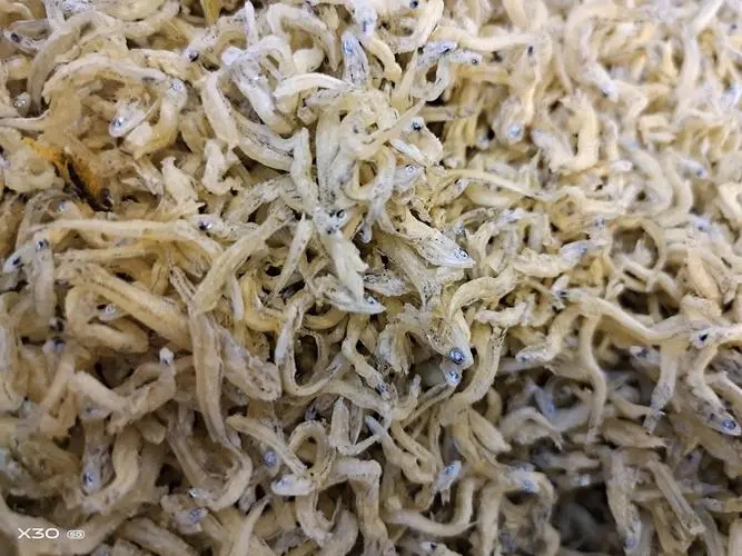 银鱼干