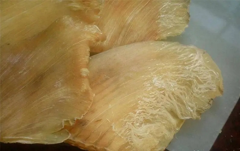 鱼翅